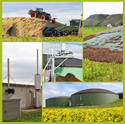 Biogas production feedstocks